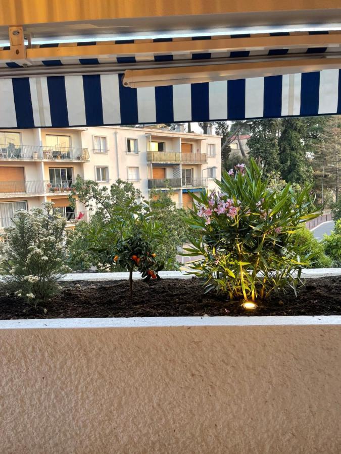 Le Cezanne Au Centre De Cassis Apartment Ngoại thất bức ảnh